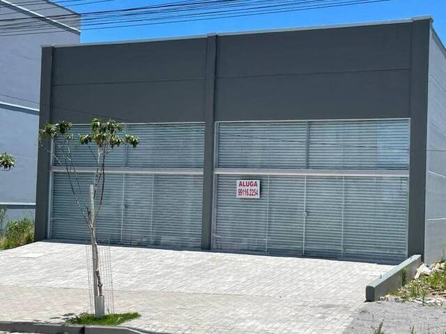 #549 - Sala para Locação em Caxias do Sul - RS