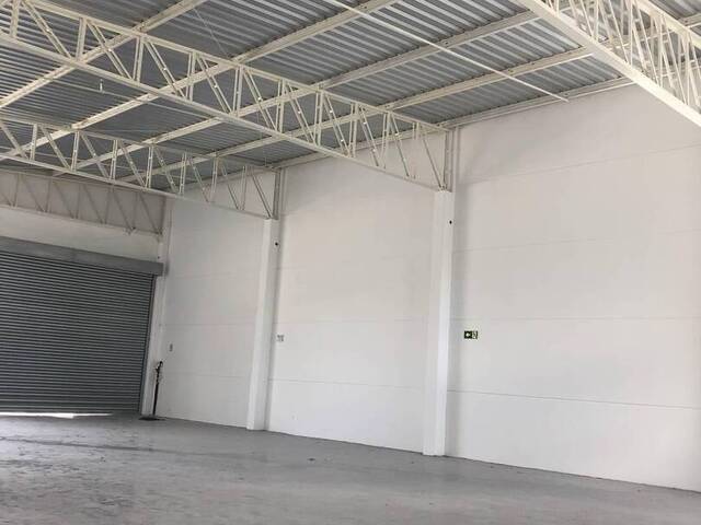 Sala para Locação em Caxias do Sul - 4