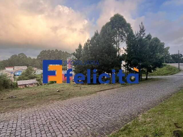 Apartamento para Venda em Caxias do Sul - 2