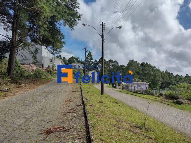 Apartamento para Venda em Caxias do Sul - 3