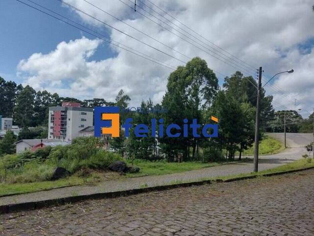 Apartamento para Venda em Caxias do Sul - 4