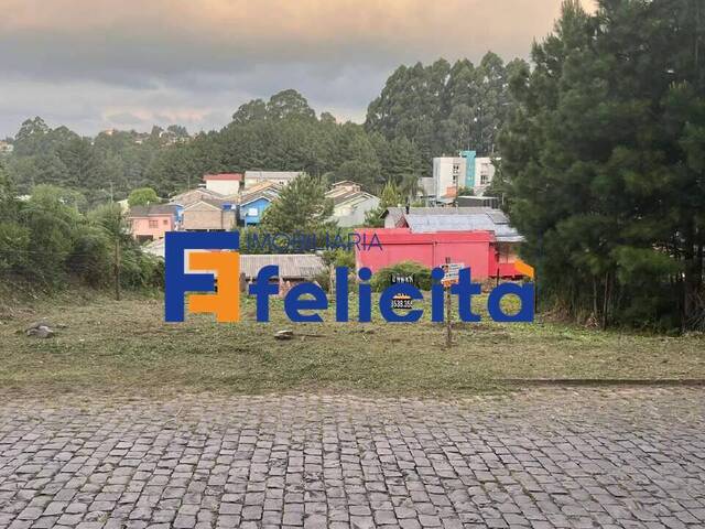 Apartamento para Venda em Caxias do Sul - 5