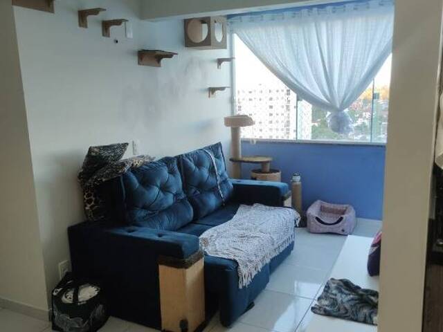 Apartamento para Venda em Caxias do Sul - 5