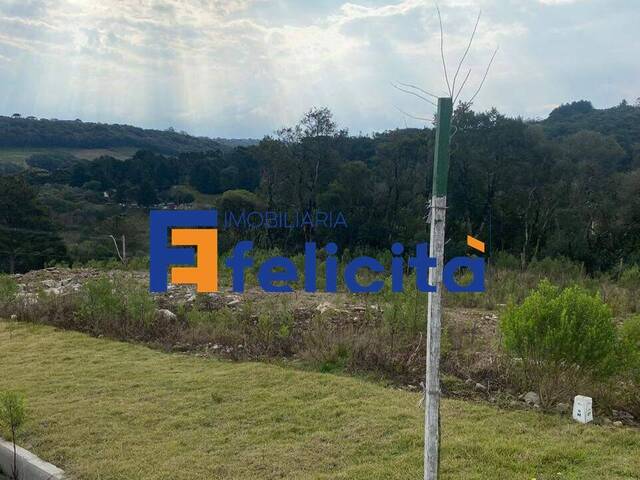 Terreno para Venda em Caxias do Sul - 4