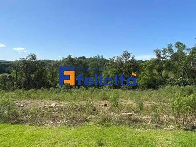 Terreno para Venda em Caxias do Sul - 5