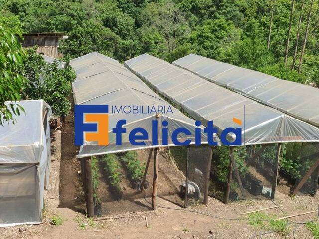 #639 - Chácara para Venda em Caxias do Sul - RS