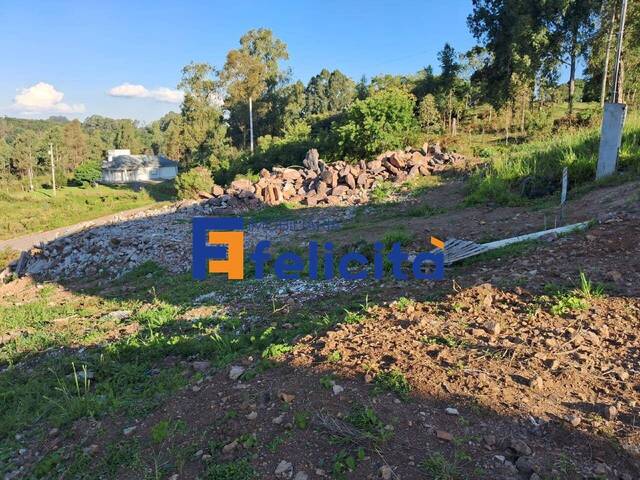 Terreno para Venda em Caxias do Sul - 4