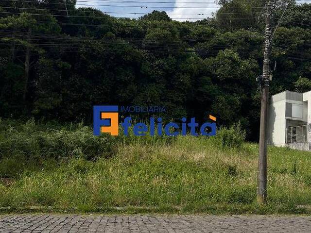 #653 - Terreno para Venda em Caxias do Sul - RS