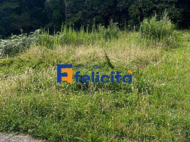 Terreno para Venda em Caxias do Sul - 4