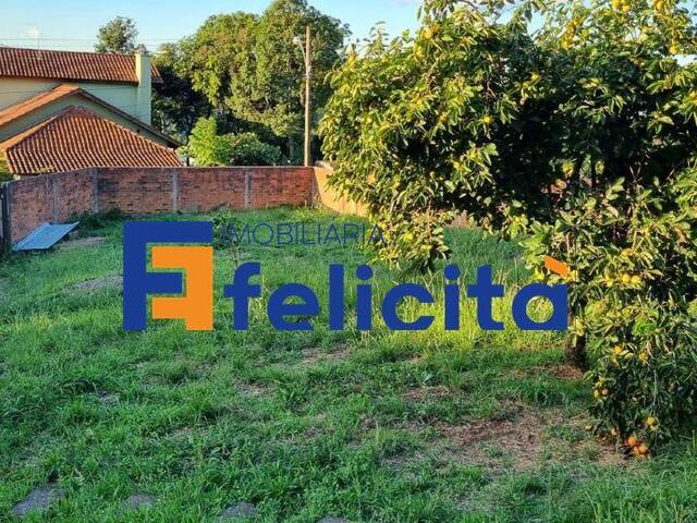 #668 - Chácara para Venda em Caxias do Sul - RS